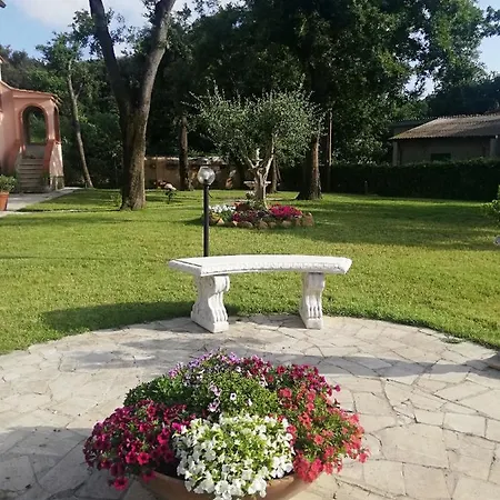 Affittacamere Ninfa Alburnea *